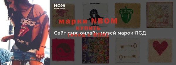 дмт Алзамай